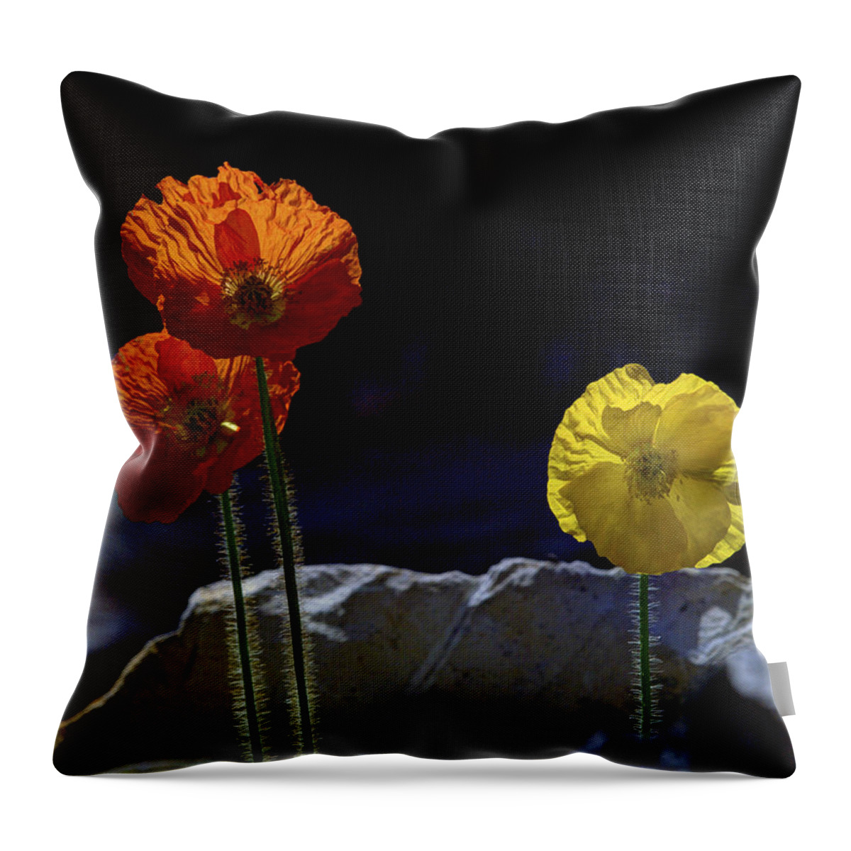 Iceland Poppies Throw Pillow featuring the photograph And One Yellow by Joe Schofield