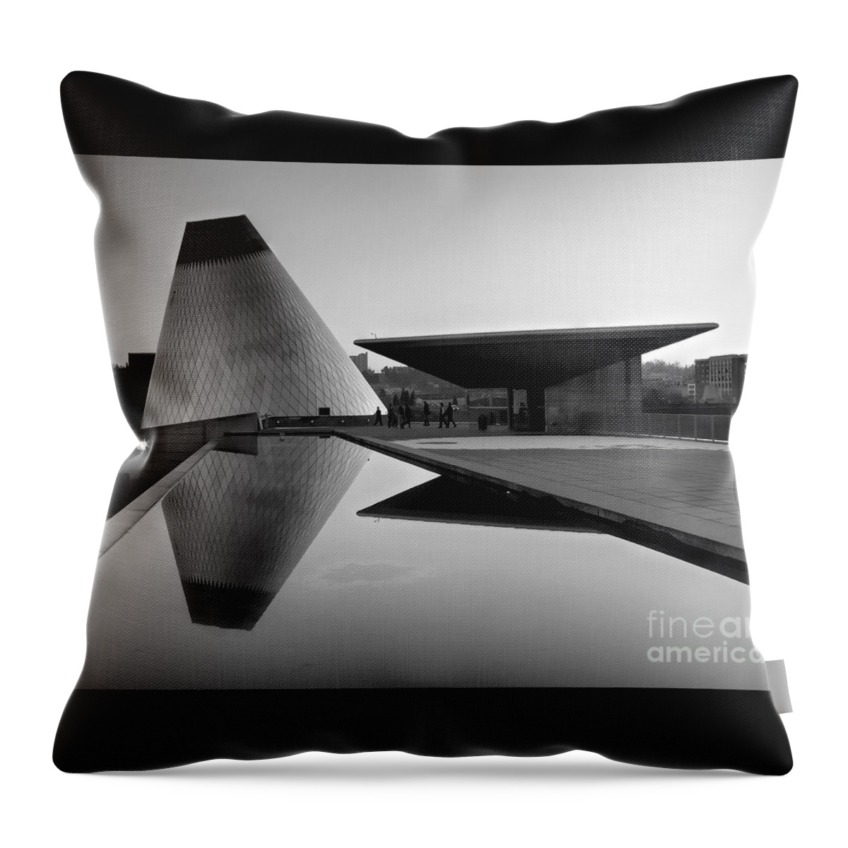 Light Throw Pillow featuring the photograph Black and White MOG Reflections by Chris Anderson