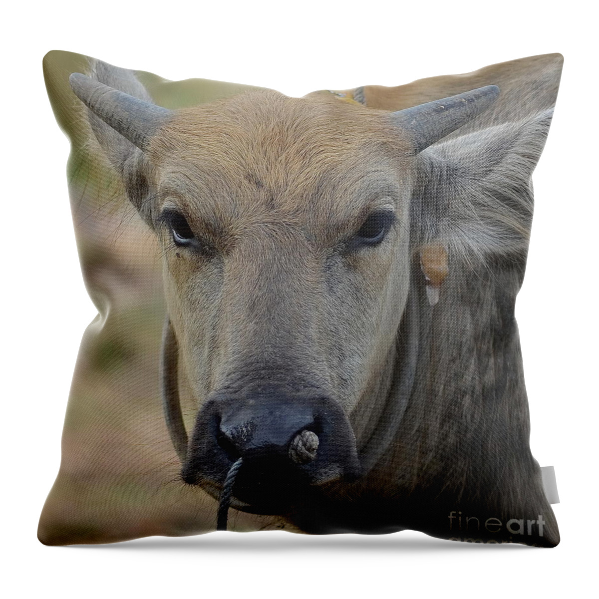 Michelle Meenawong Throw Pillow featuring the photograph Buffalo by Michelle Meenawong