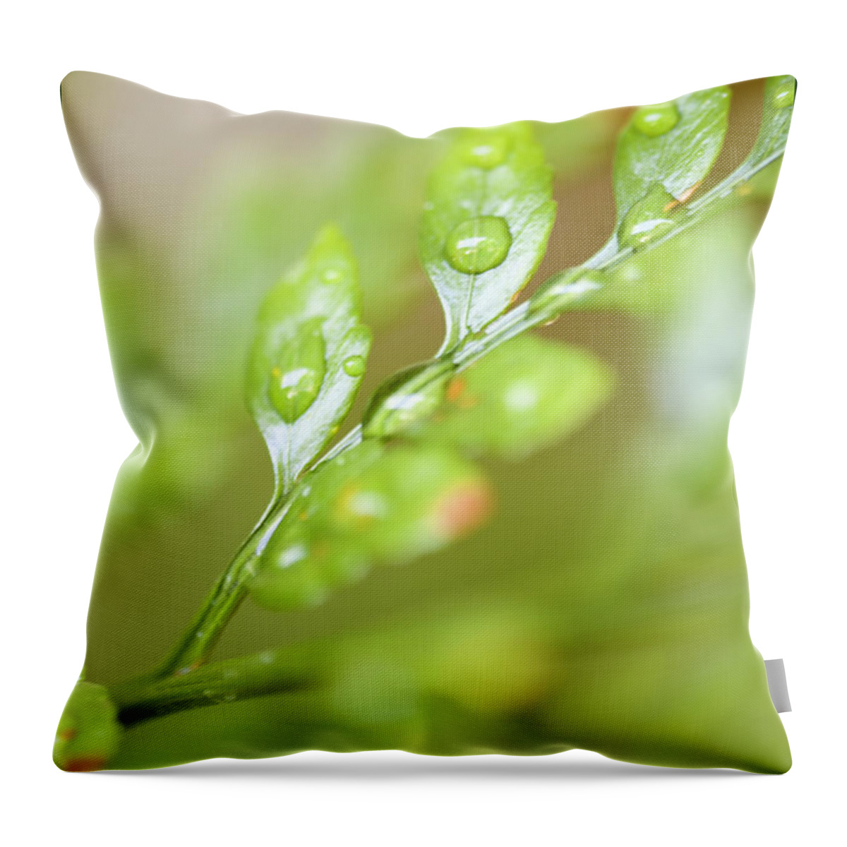 Close-up Throw Pillow featuring the photograph Fern Fronds by Richard J Thompson 