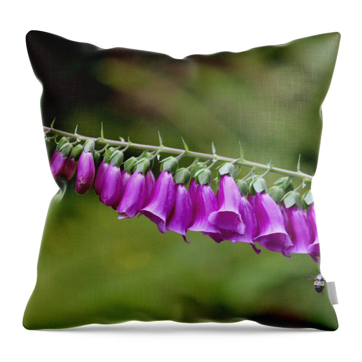 Flowers Throw Pillow featuring the photograph Foxglove went horizontal by Kym Backland