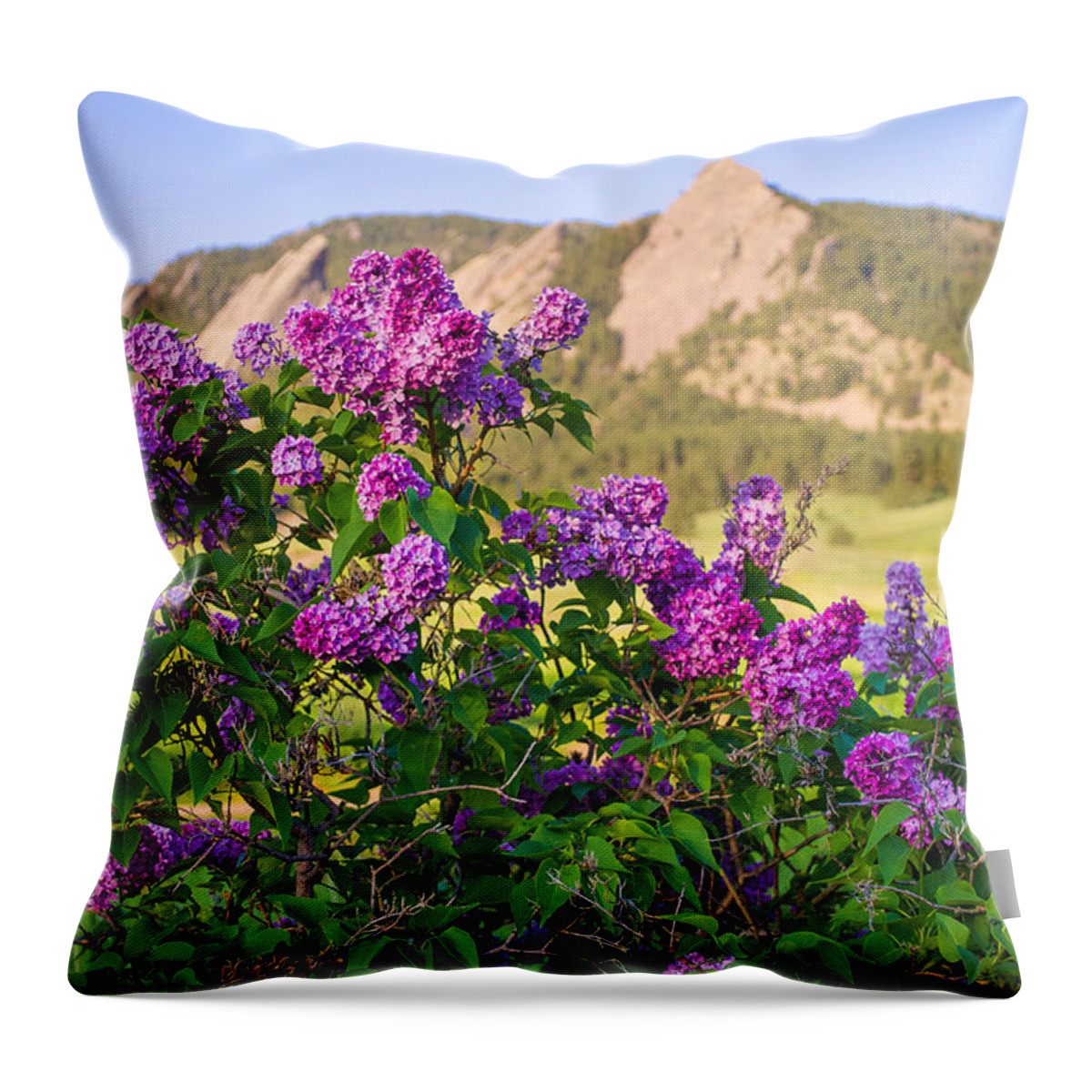Lilac Throw Pillow featuring the photograph Lilac Flowers - Boulder Colorado by Aaron Spong