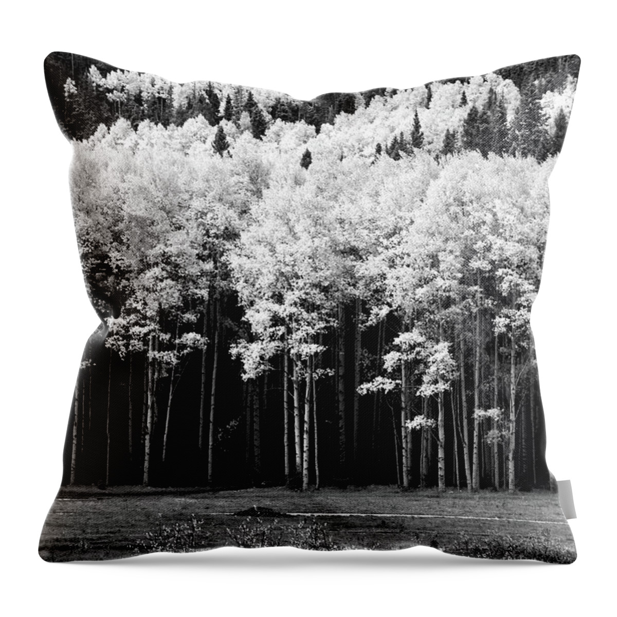 Red River Throw Pillow featuring the photograph New Mexico Aspens by Ron Weathers