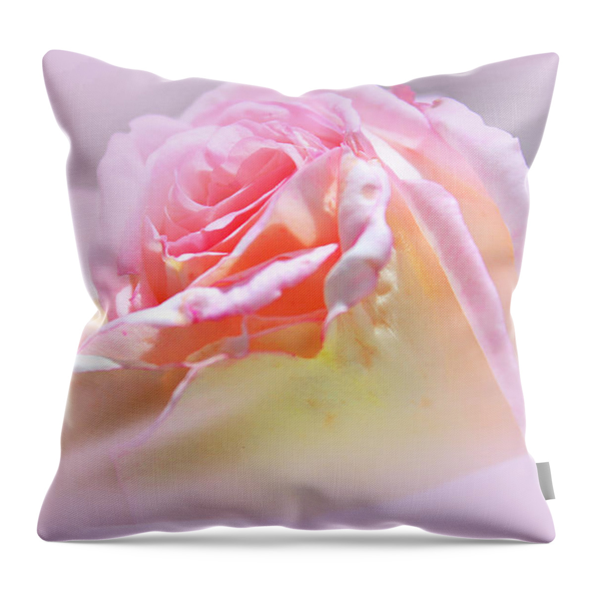 Rose Throw Pillow featuring the photograph Peaceful Pink Rose Haze by Judy Palkimas