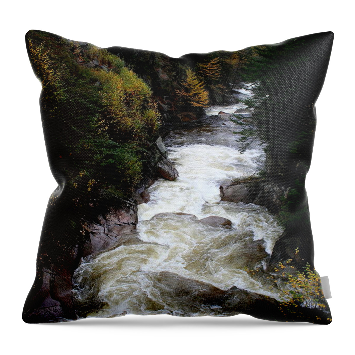 Franconia Notch Throw Pillow featuring the photograph Pemigewasset River White Mountains by Christiane Schulze Art And Photography