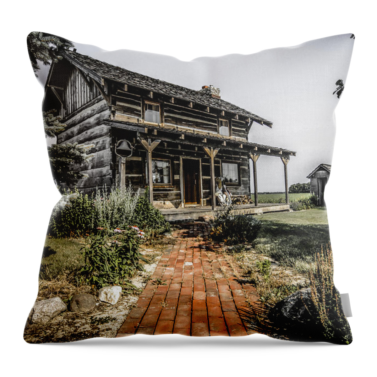 America Throw Pillow featuring the photograph Pioneer farmhouse by Chris Smith