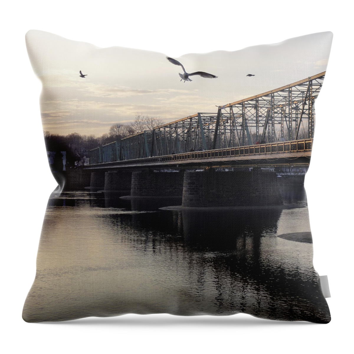 Bridge Throw Pillow featuring the photograph Gulls at the Bridge in January by Christopher Plummer