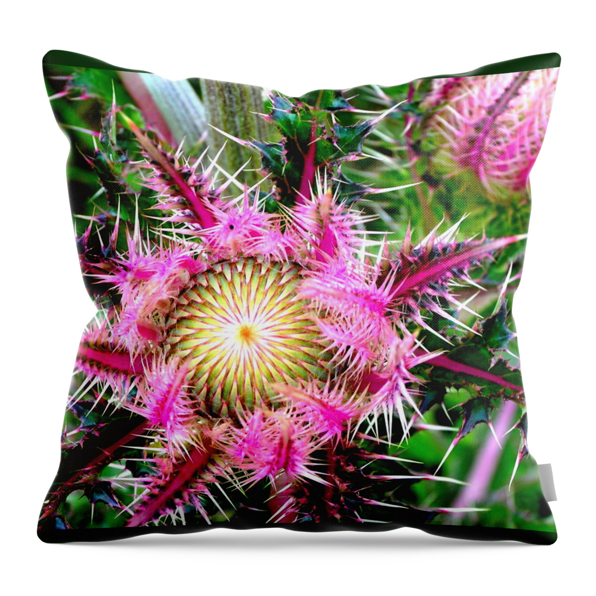 Thistle Throw Pillow featuring the photograph Texas Thistles by Antonia Citrino