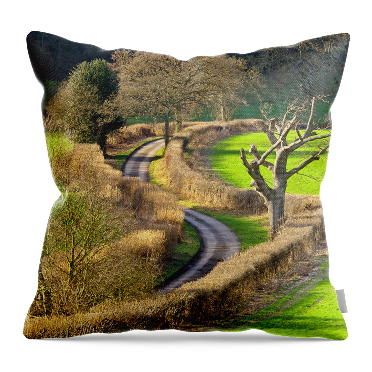 Fields Throw Pillow featuring the photograph Winding Country Lane by Tony Murtagh