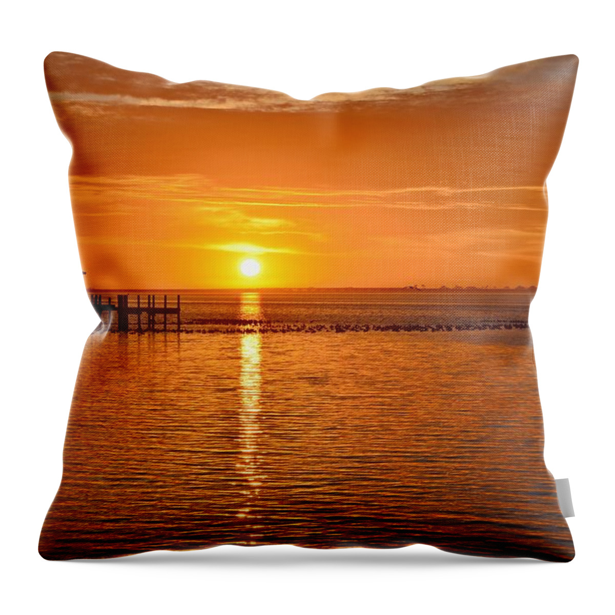 20120109 Throw Pillow featuring the photograph 0109 Sunrise Reflections with Ducks and Colorful Clouds on Sound by Jeff at JSJ Photography