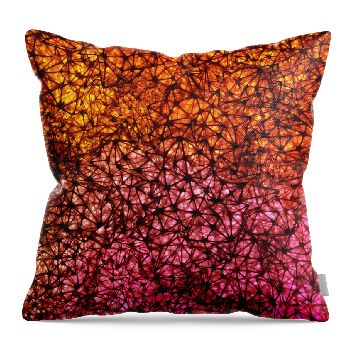 Abstracts Throw Pillow featuring the digital art 011915 by Matthew Lindley
