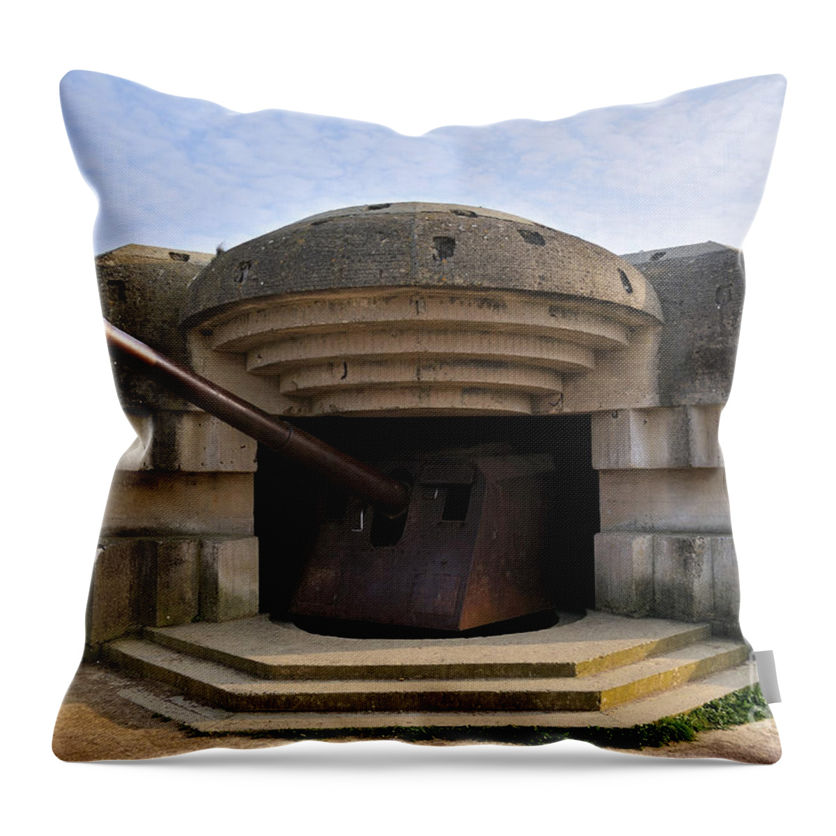 Cannon Throw Pillow featuring the photograph 080911p231 by Arterra Picture Library