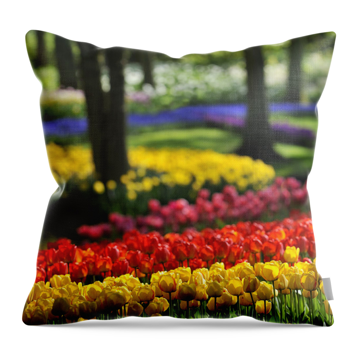Colorful Throw Pillow featuring the photograph Colorful Tulips at Keukenhof by Arterra Picture Library
