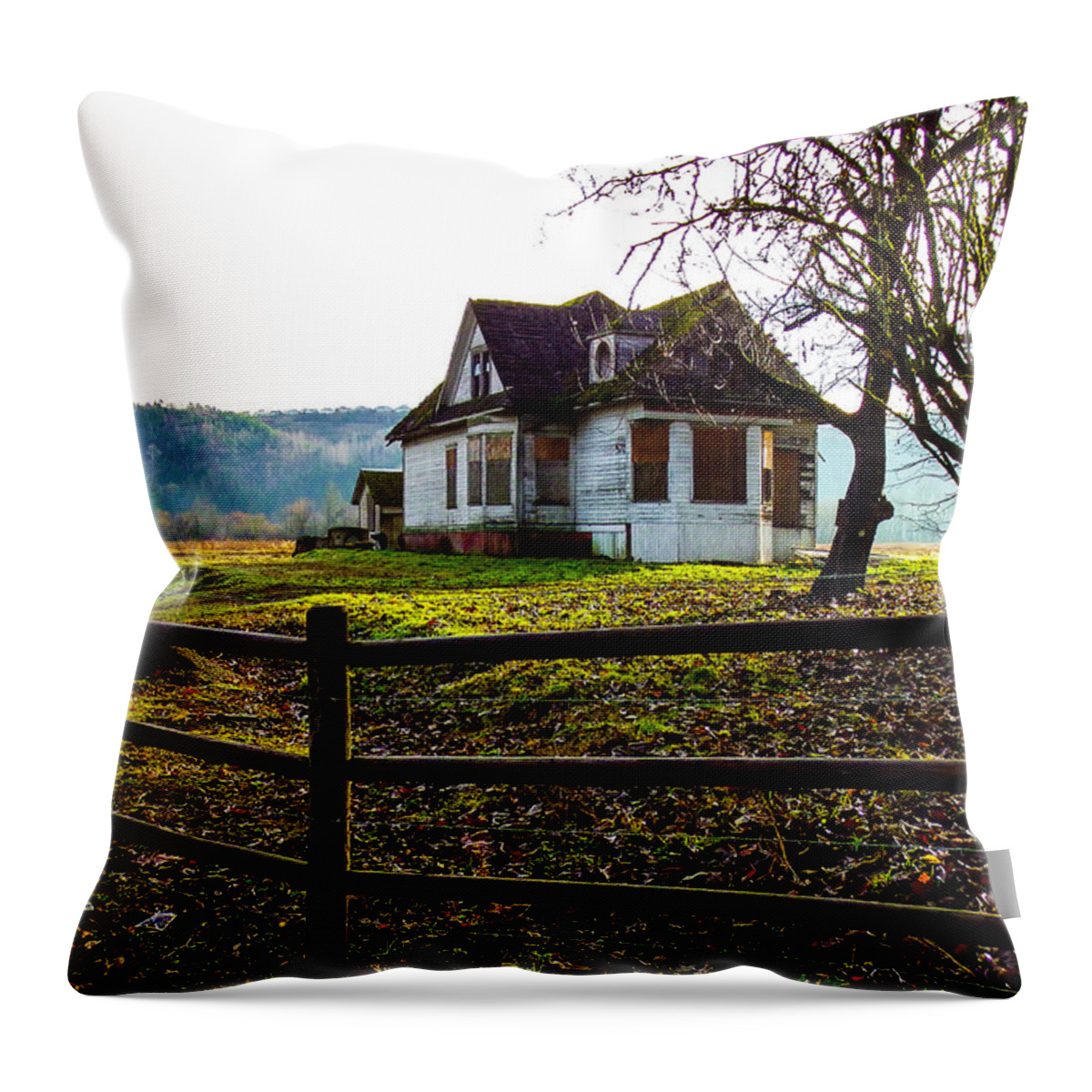 Abandon House Throw Pillow featuring the photograph Abandon farm House #2 by Ron Roberts
