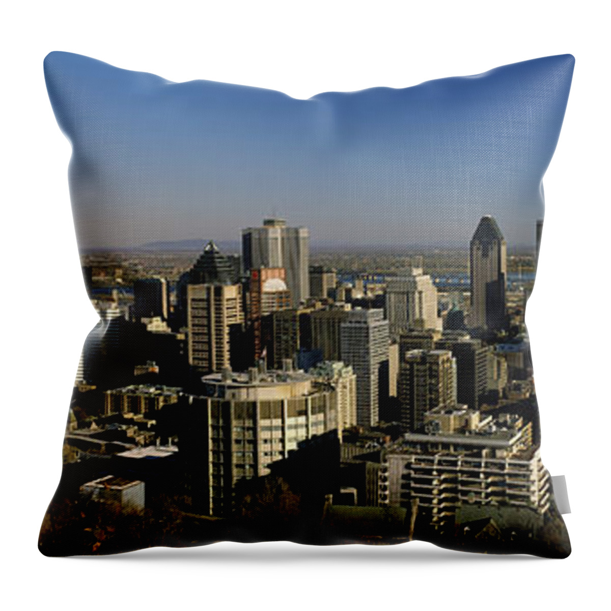 Photography Throw Pillow featuring the photograph Aerial View Of Skyscrapers In A City #1 by Panoramic Images