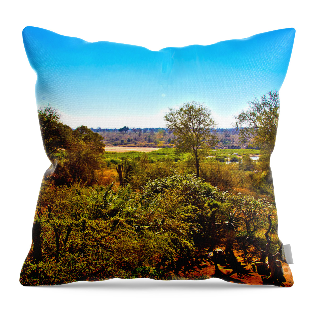 Landscape Throw Pillow featuring the digital art African Landscape #1 by Pravine Chester