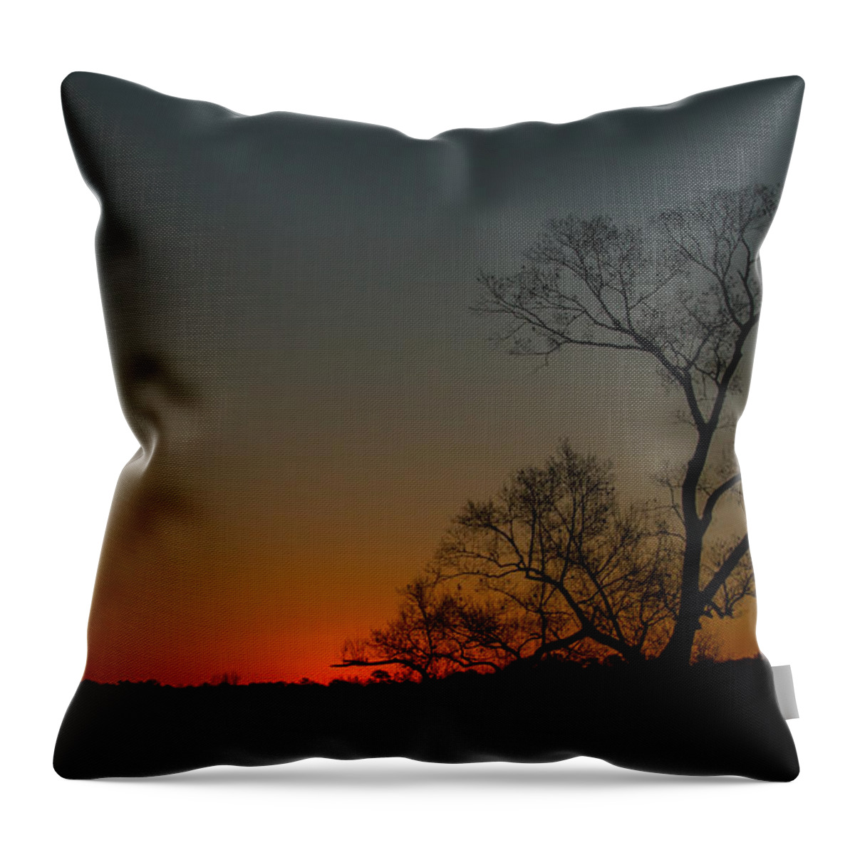 Art Prints Throw Pillow featuring the photograph After Sunset #1 by Dave Bosse
