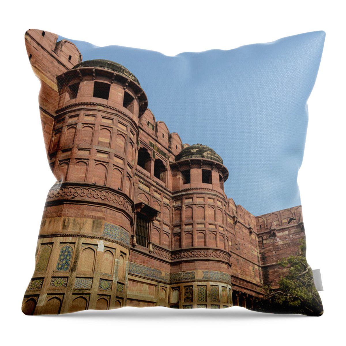 Ancient Throw Pillow featuring the photograph Agra Fort in India #1 by Brandon Bourdages