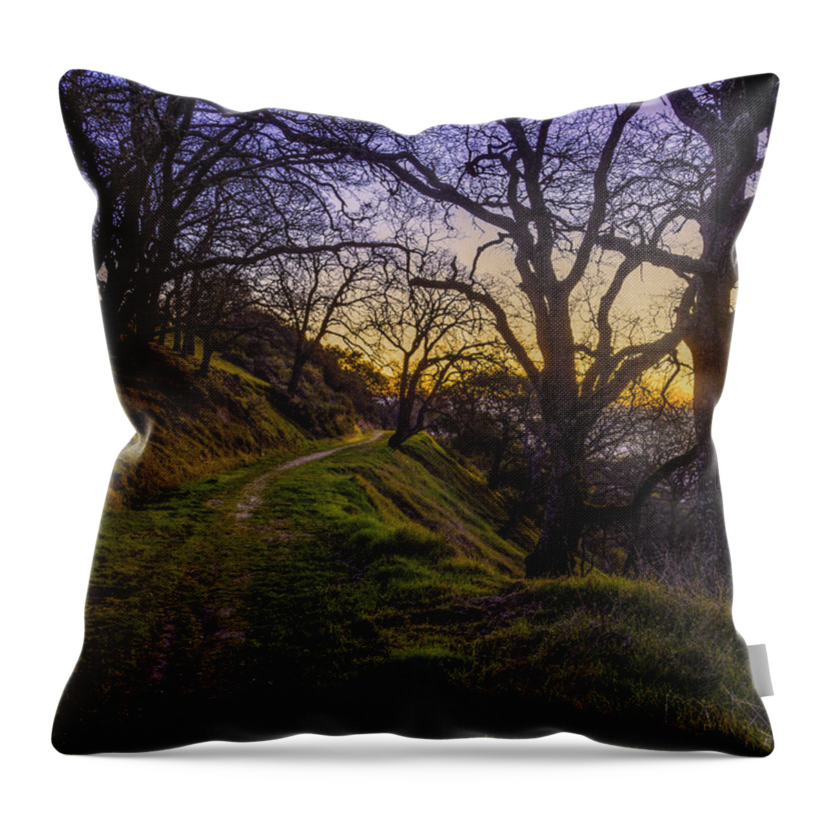 Alamo Throw Pillow featuring the photograph Alamo Hills #1 by Don Hoekwater Photography