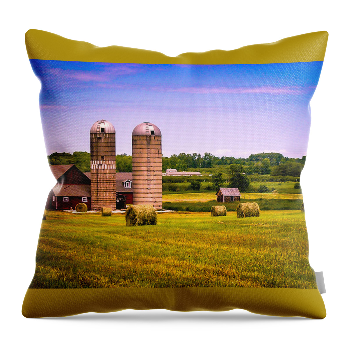 Farming Throw Pillow featuring the photograph All in a Day's Work by Terry Ann Morris