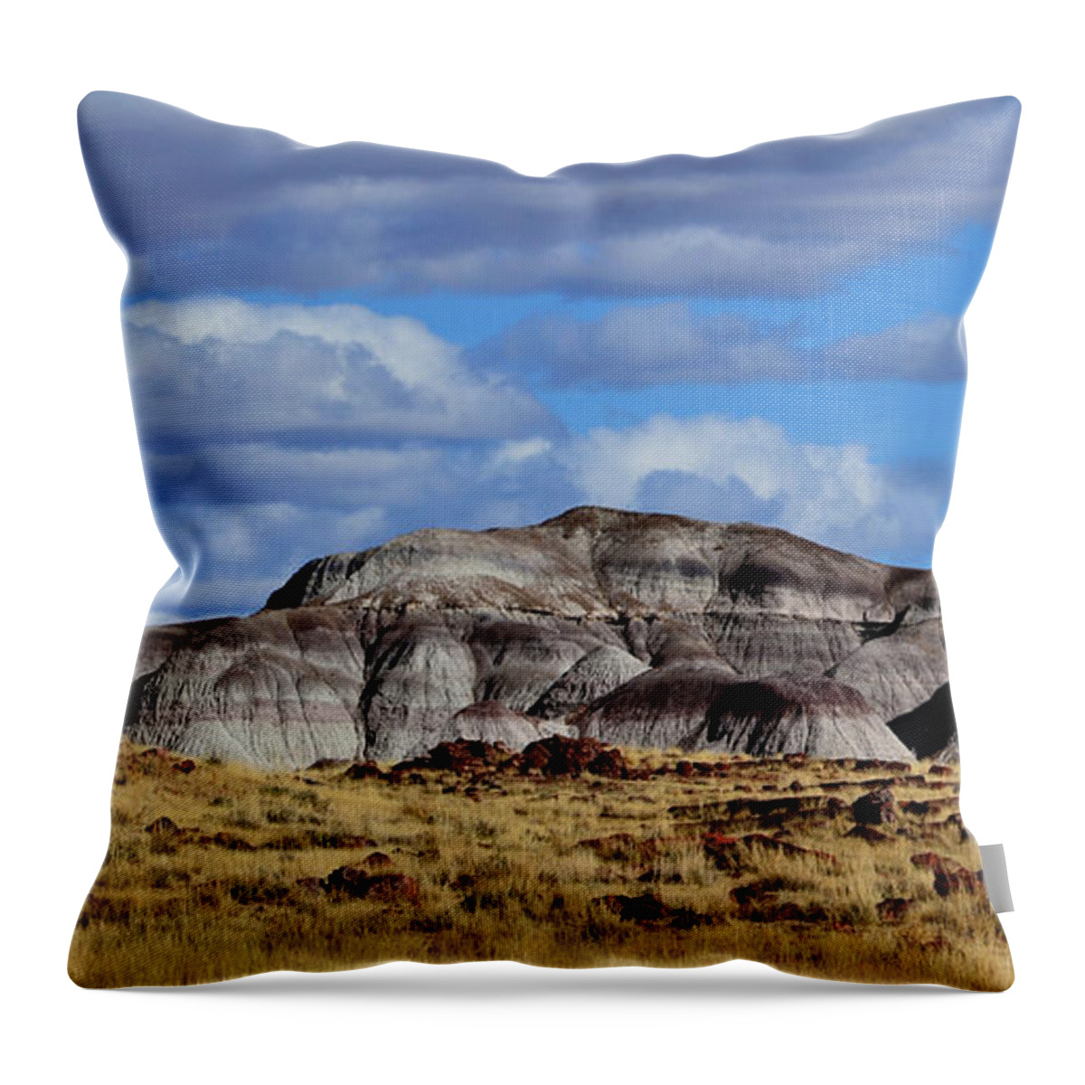 Grass Throw Pillow featuring the photograph Amber Waves of Grain and Purple Mountains by Nadalyn Larsen