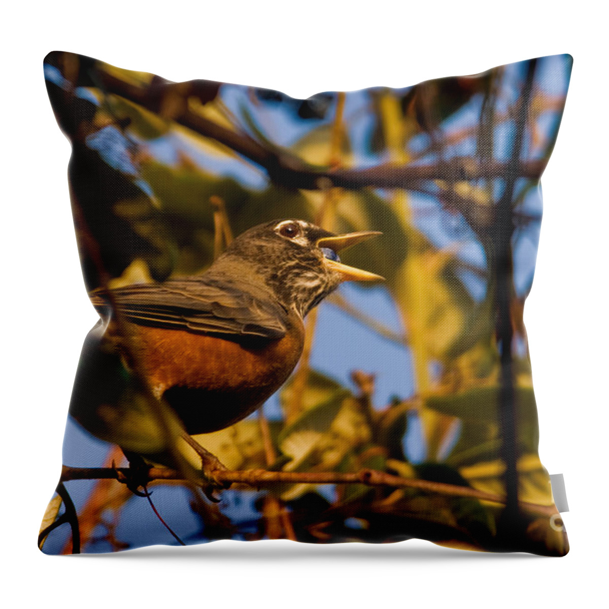 American Robin Throw Pillow featuring the photograph American Robin #1 by Ron Sanford