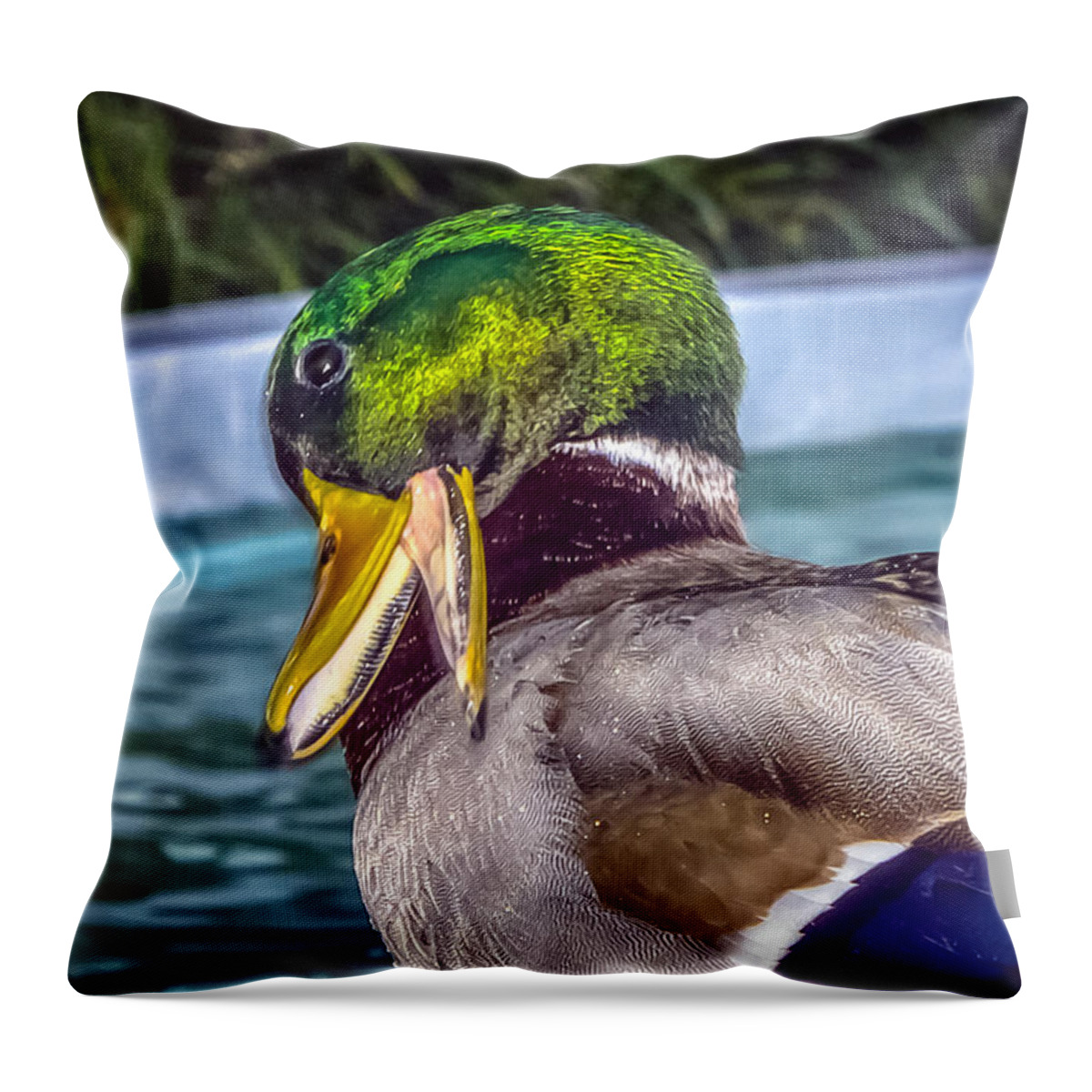 Anas Throw Pillow featuring the photograph Anas platyrhynchos #1 by Traveler's Pics