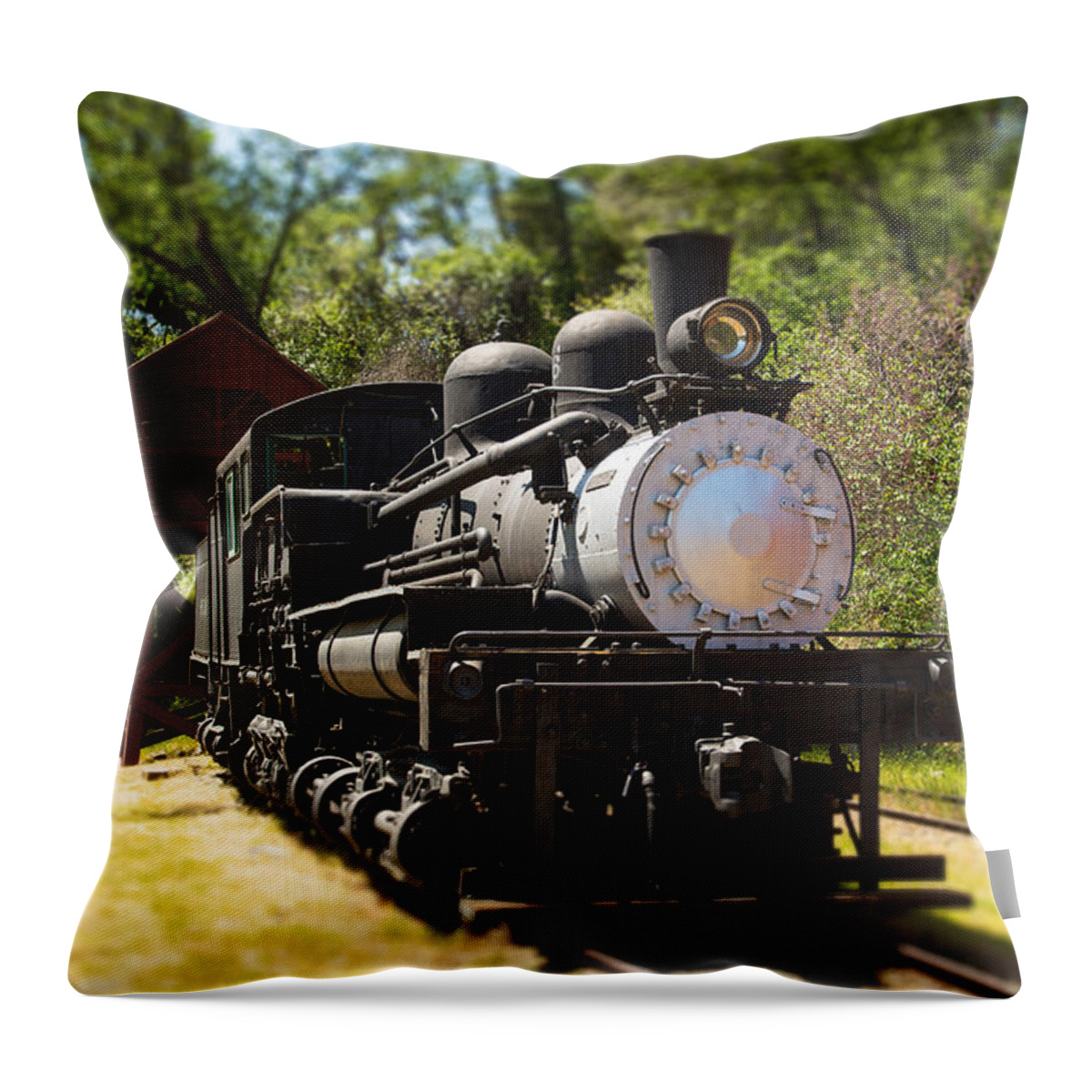 Train Throw Pillow featuring the photograph Antique Locomotive #1 by Jane Rix