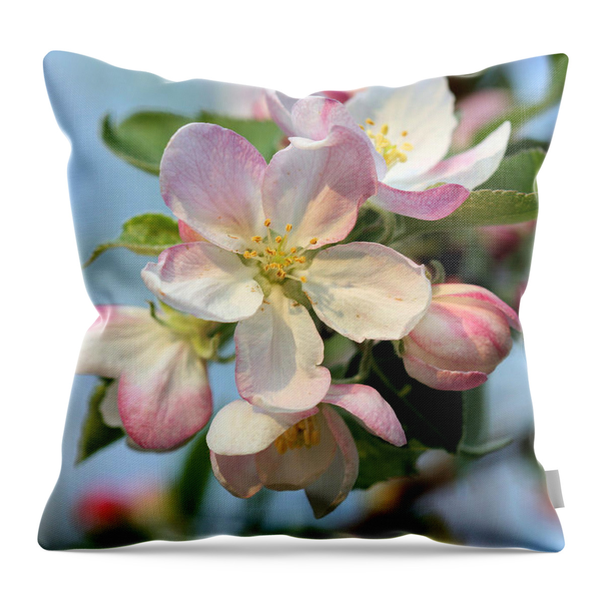 Apple Blossom Throw Pillow featuring the photograph Apple Blossom #2 by Kristin Elmquist
