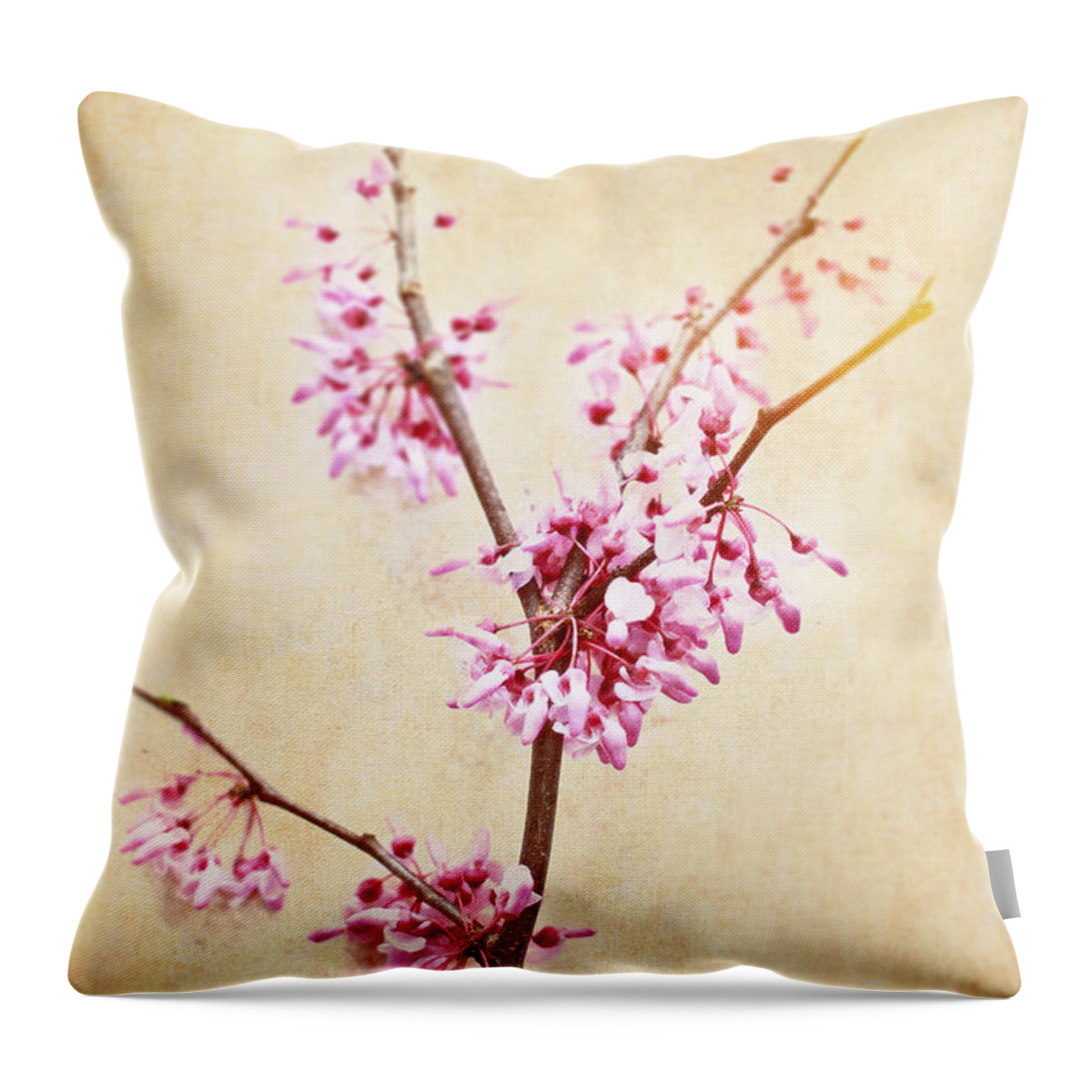 Crab Apple Throw Pillow featuring the photograph Apple Blossoms #1 by Stephanie Frey
