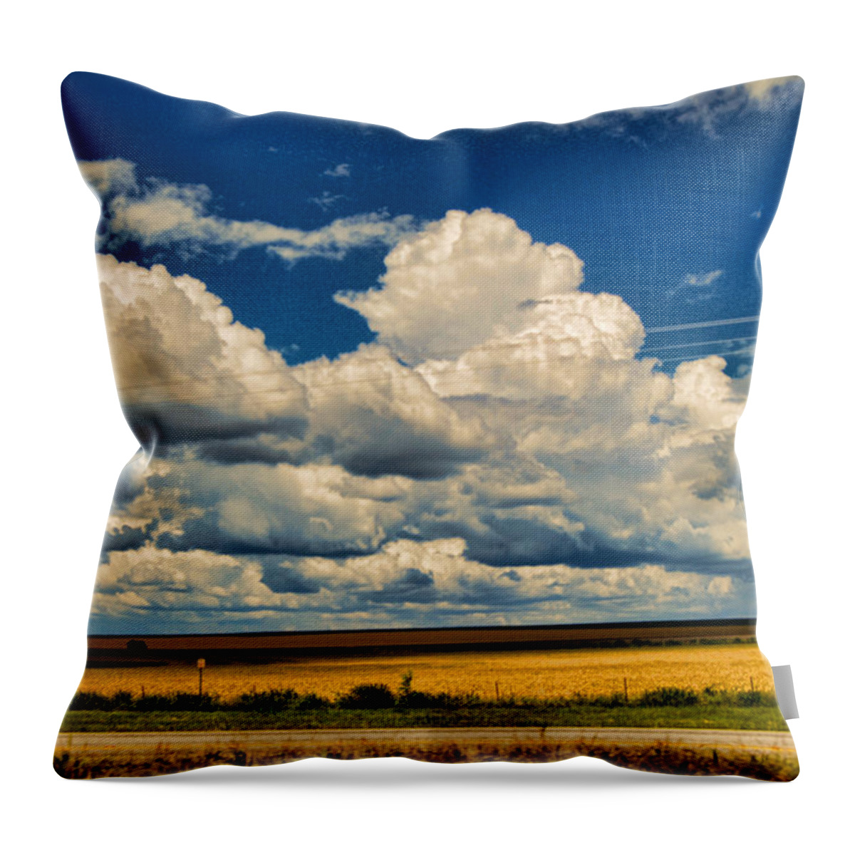 Wright Throw Pillow featuring the photograph Approaching Storm by Paulette B Wright