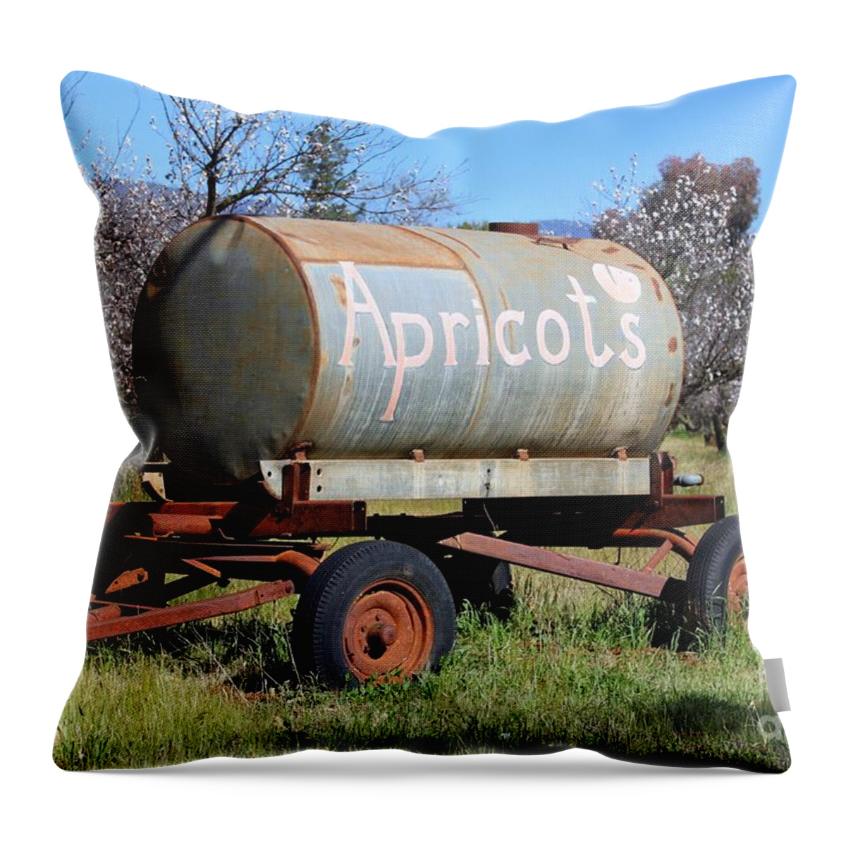Apricot Throw Pillow featuring the photograph Apricots #1 by Henrik Lehnerer