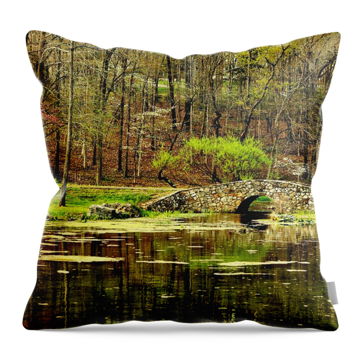 Arkansas Throw Pillow featuring the photograph Arkansas Tranquility #1 by Benjamin Yeager