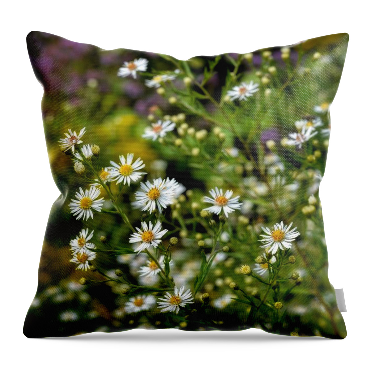 Autumn Throw Pillow featuring the photograph Autumn - Wildflowers - Asters #2 by Henry Kowalski