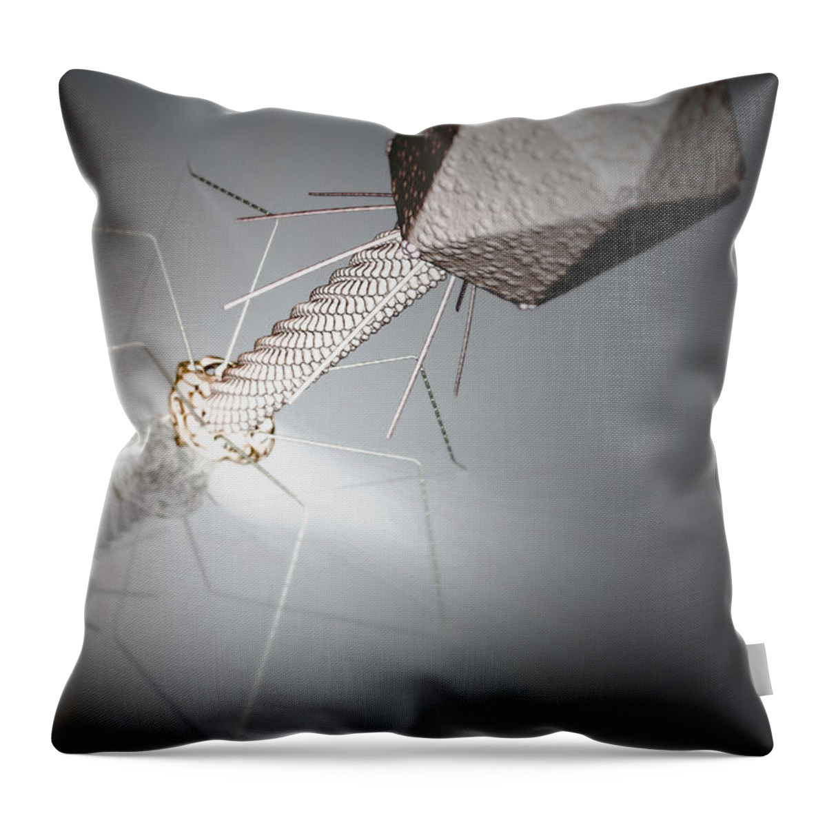 Infection Throw Pillow featuring the photograph Bacteriophage #1 by Science Picture Co