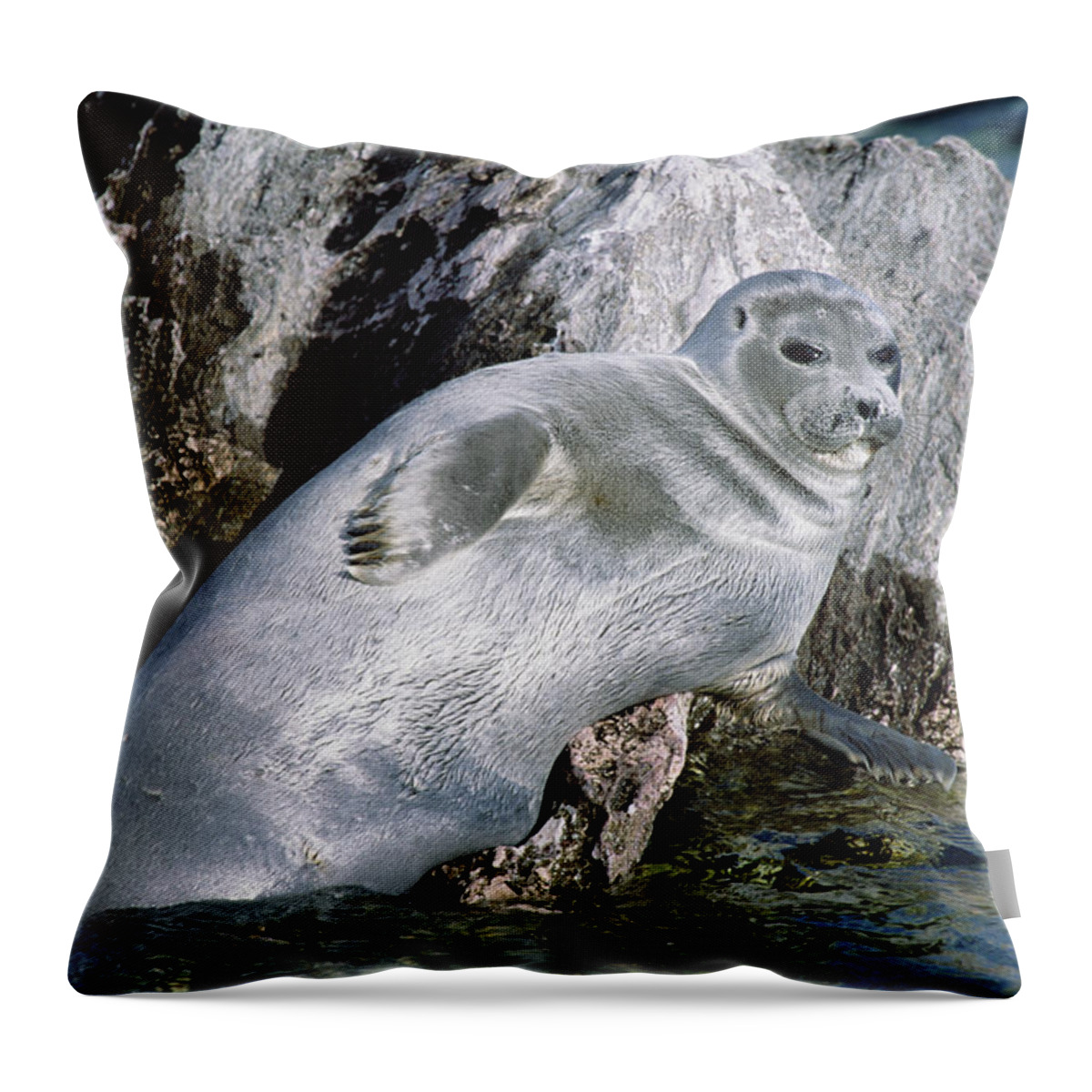 Feb0514 Throw Pillow featuring the photograph Baikal Seal Lake Baikal Russia #1 by Konrad Wothe