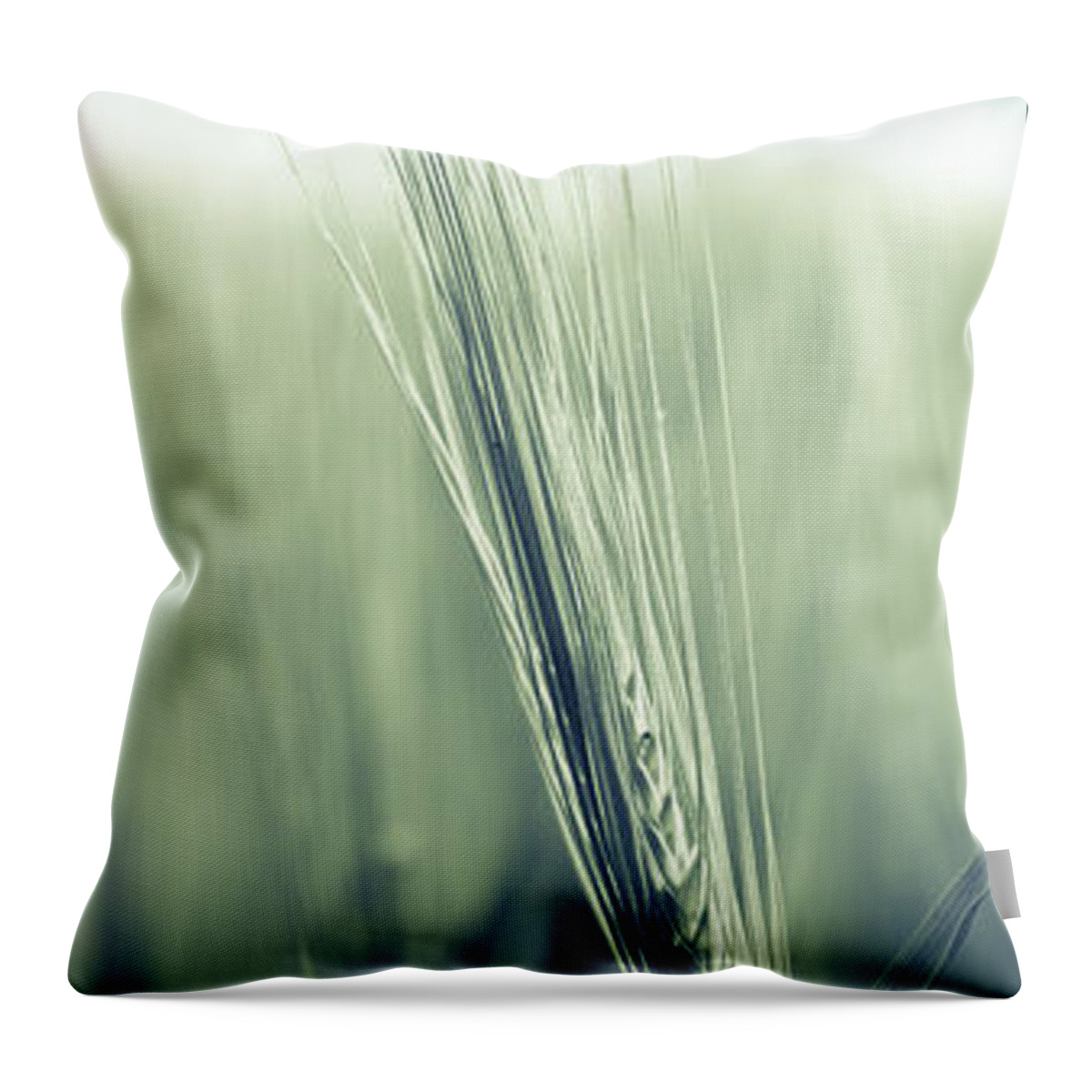 1x3 Throw Pillow featuring the photograph Barley #1 by Hannes Cmarits