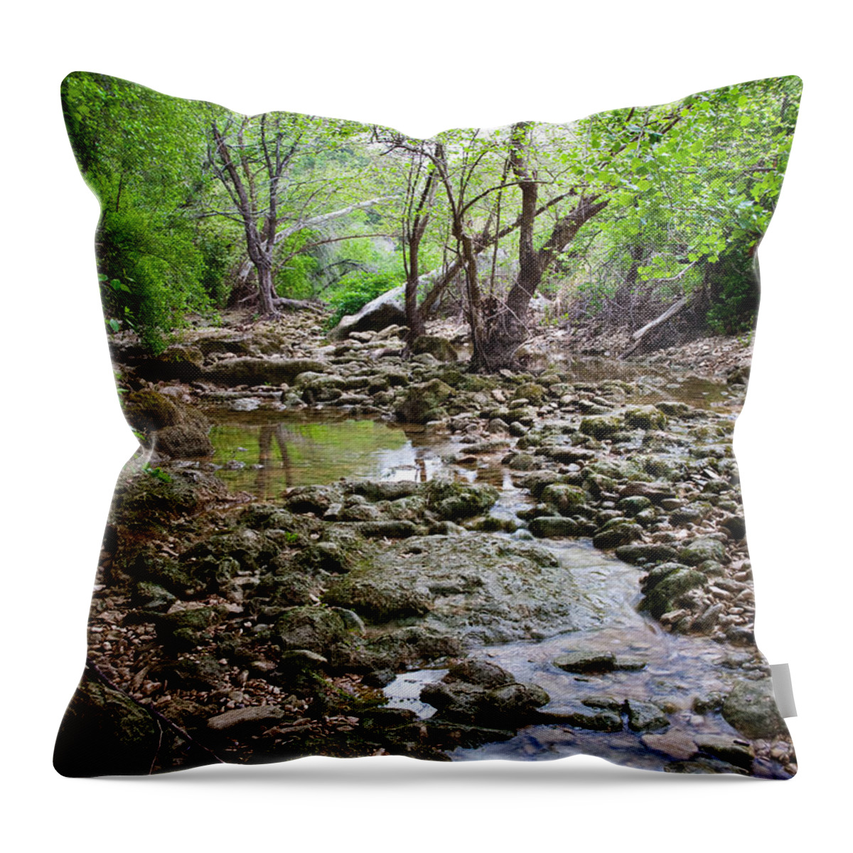Austin Throw Pillow featuring the photograph Barton Creek Greenbelt #2 by Mark Weaver