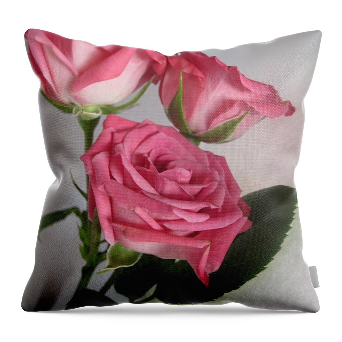Floral Throw Pillow featuring the photograph Beautiful Pink Roses 8 by Tara Shalton