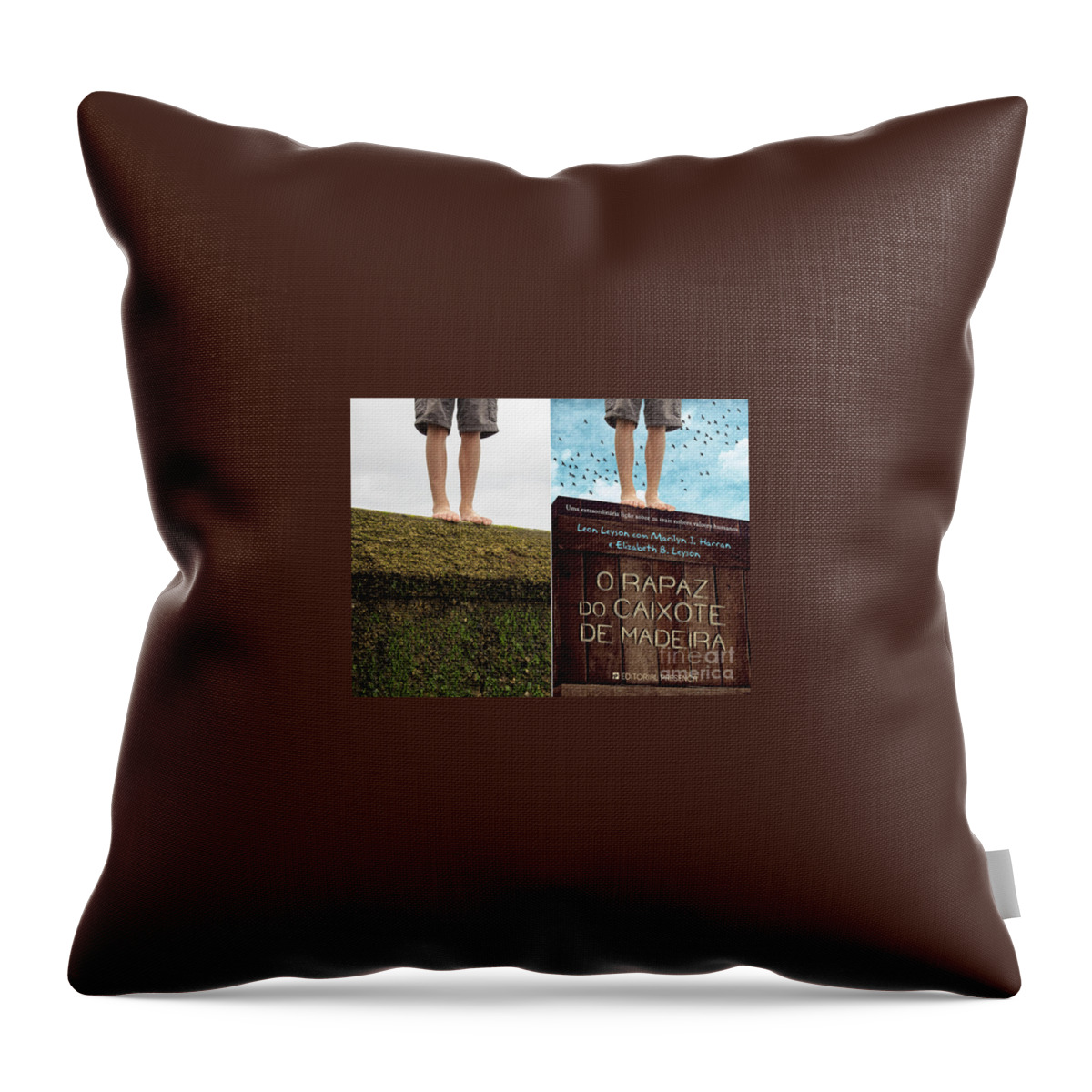 Book Throw Pillow featuring the photograph Before and after #1 by Edward Fielding