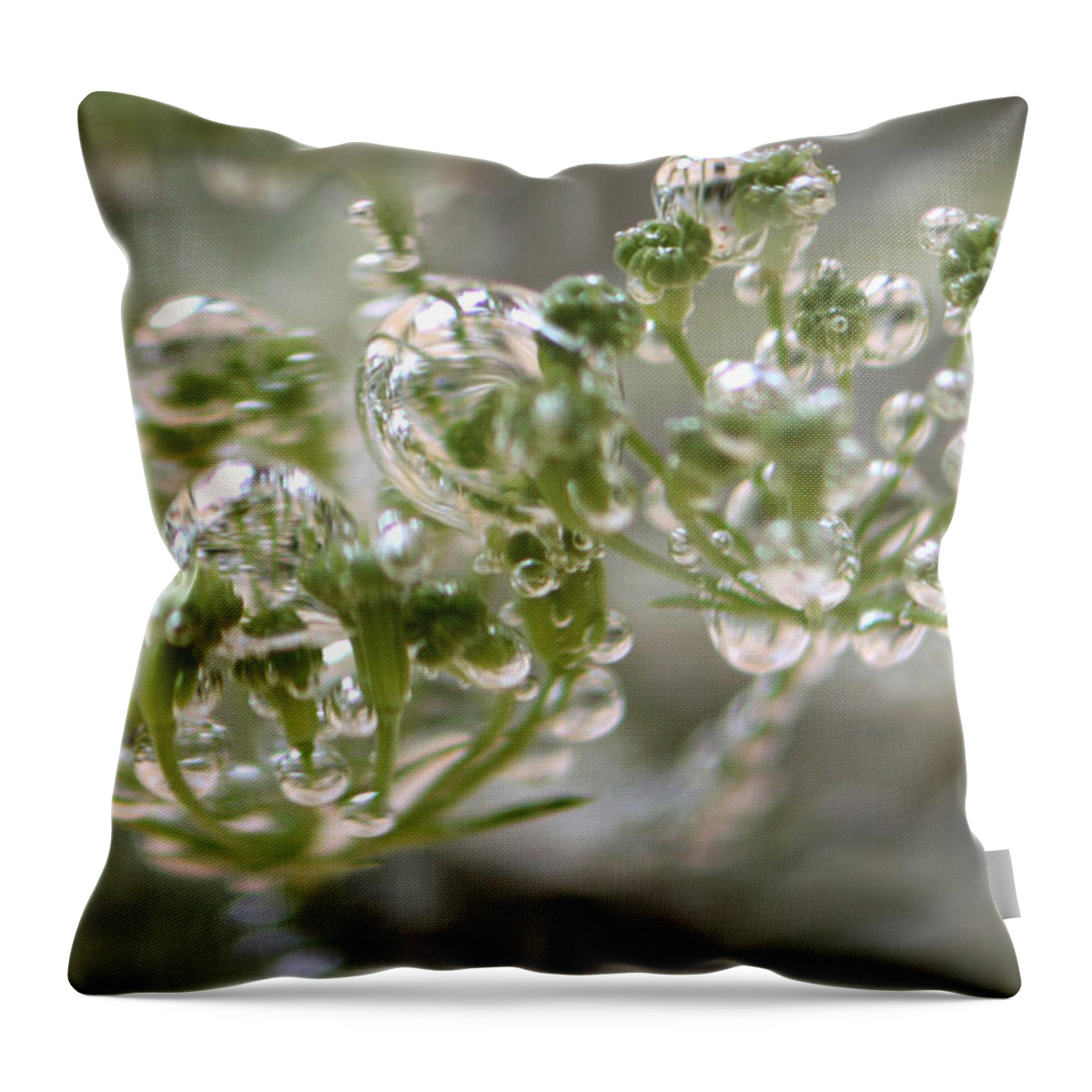 Nature Throw Pillow featuring the photograph Bejeweled #1 by Tasha ONeill
