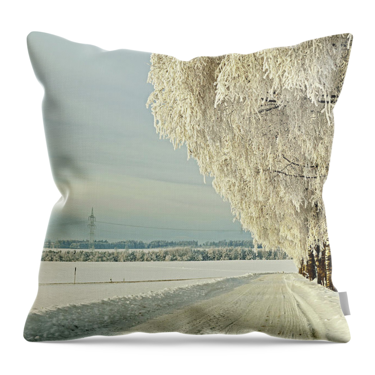 Scenics Throw Pillow featuring the photograph Birch Trees With Hoar Frost #1 by Jochen Schlenker