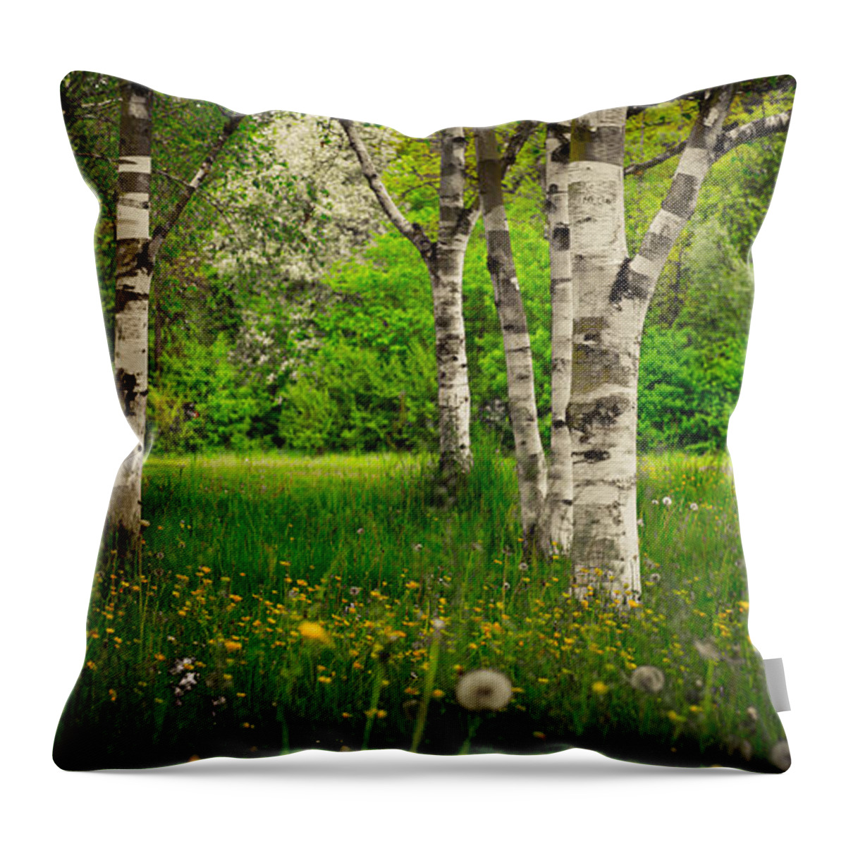 Birch Throw Pillow featuring the photograph Birches #1 by Hannes Cmarits
