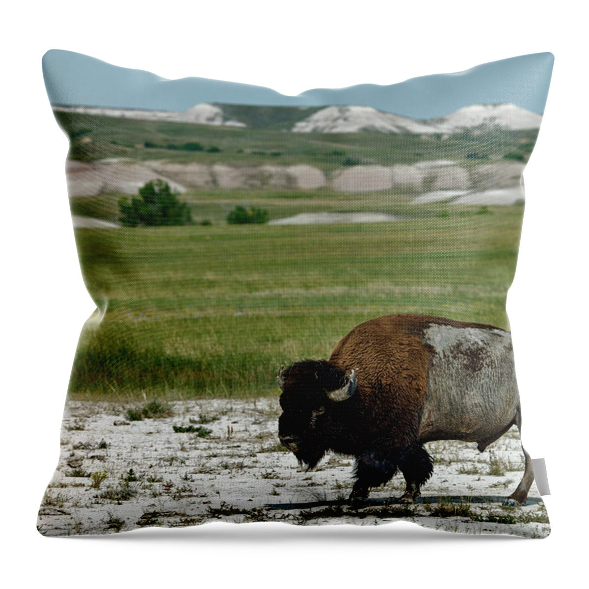 Horned Throw Pillow featuring the photograph Bison In Badlands National Park #1 by Mark Newman