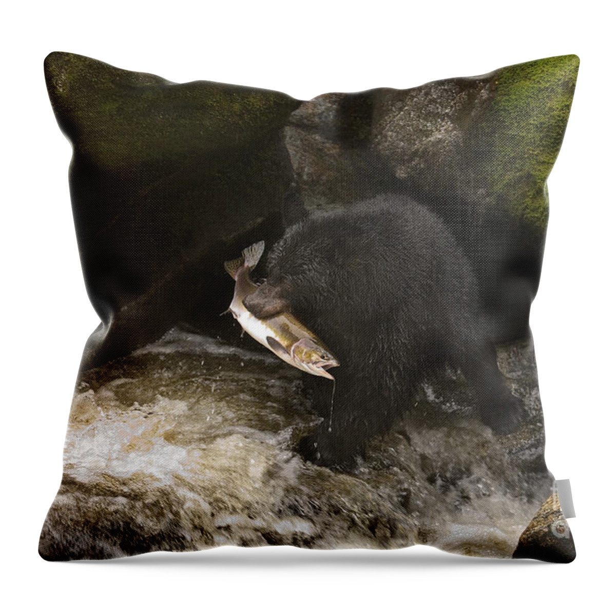 Animal Throw Pillow featuring the photograph Black Bear With Salmon #1 by Ron Sanford
