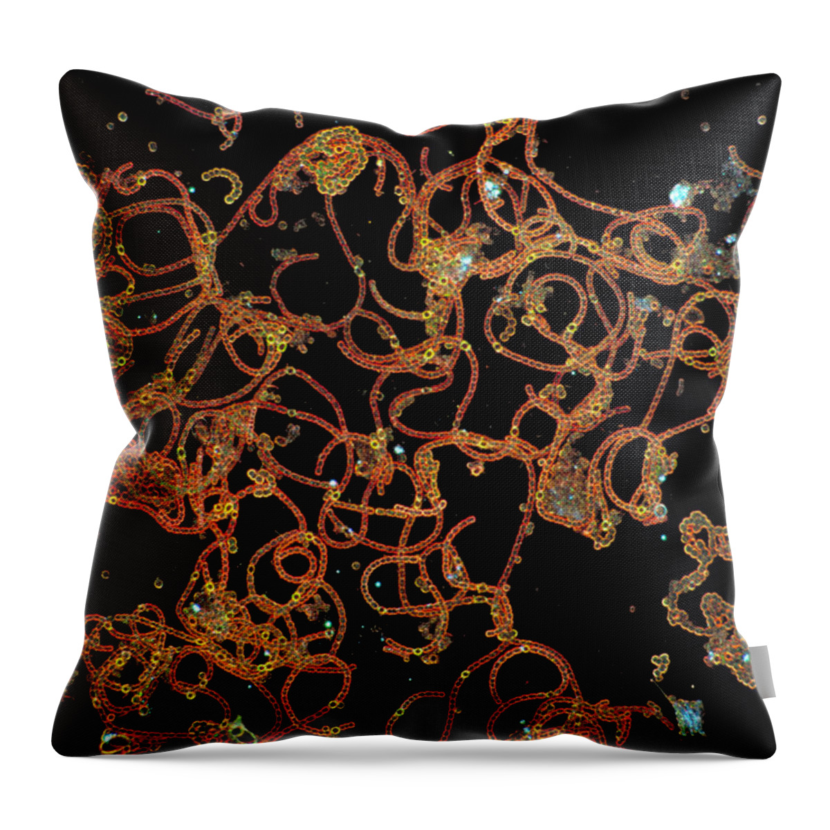 Algae Throw Pillow featuring the photograph Blue-green Algae, Anabaena, Lm #1 by Michael Abbey