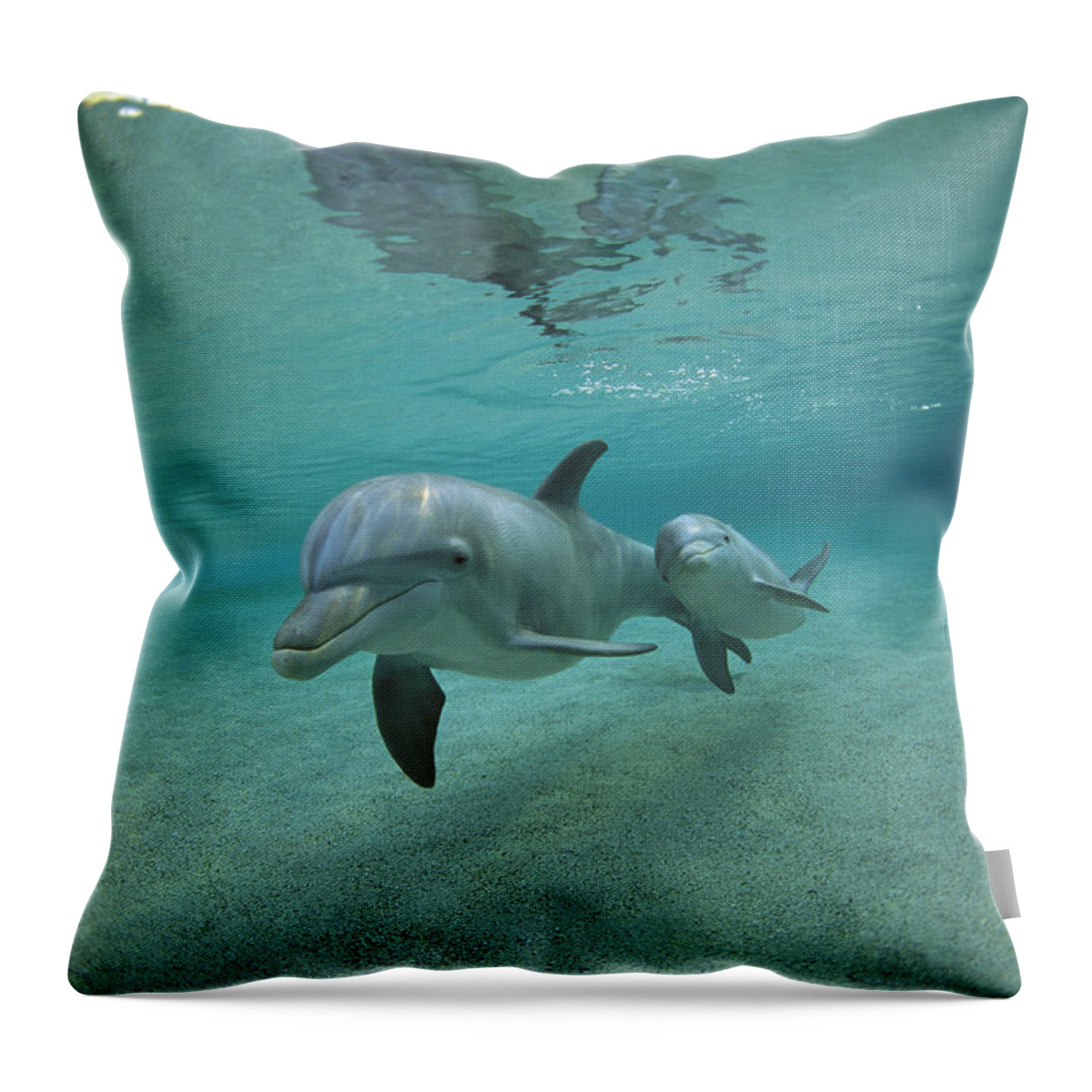 Feb0514 Throw Pillow featuring the photograph Bottlenose Dolphin Mother And Young #1 by Flip Nicklin
