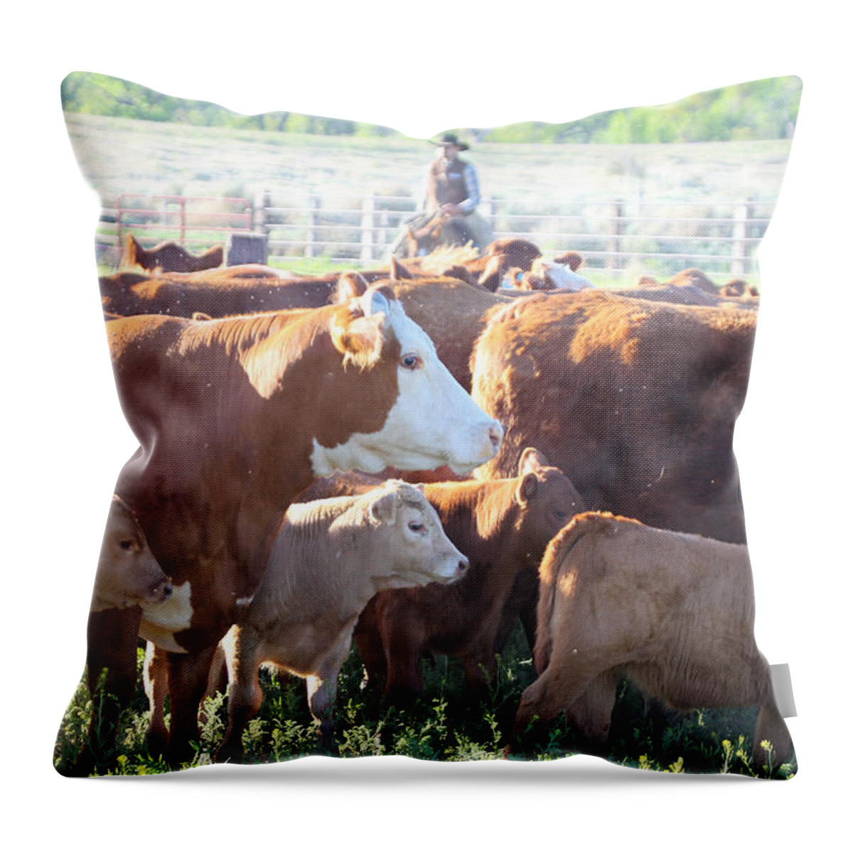 Wyoming 2014 Throw Pillow featuring the photograph Branding Day #1 by Diane Bohna