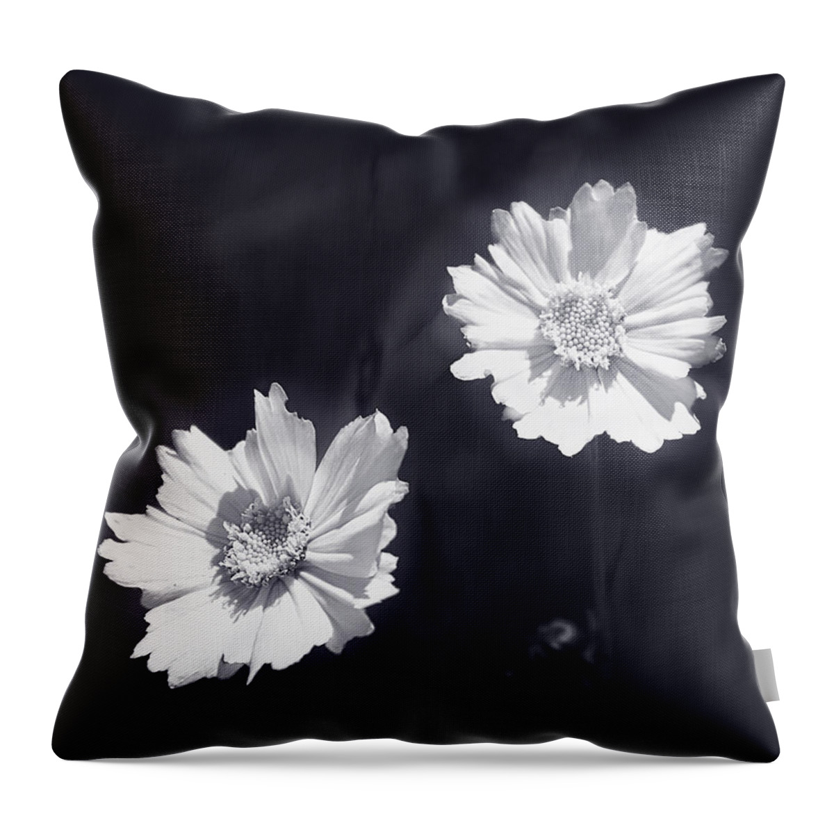 Bright Throw Pillow featuring the photograph Bright as the Sun by Milena Ilieva