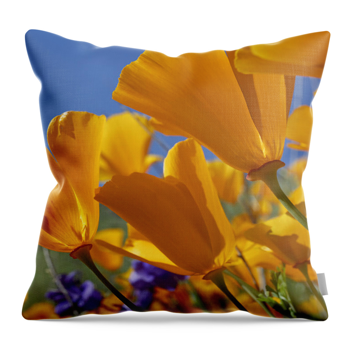 Feb0514 Throw Pillow featuring the photograph California Poppies Antelope Valley #1 by Tim Fitzharris